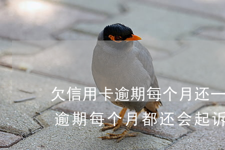 欠信用卡逾期每个月还一点会立案吗（信用卡逾期每个月都还会起诉吗）