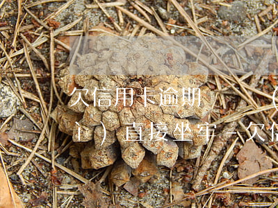 欠信用卡逾期沒還會(huì)不會(huì)直接坐牢-欠信用卡逾期沒還會(huì)不會(huì)直接坐牢了