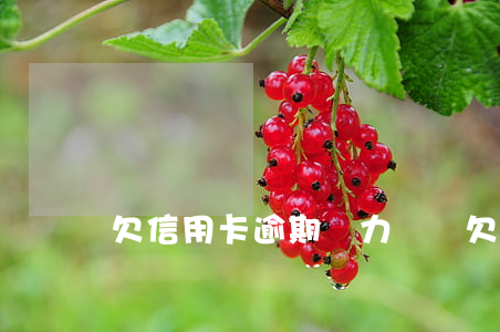 欠信用卡逾期無力償還(欠信用卡逾期不還)