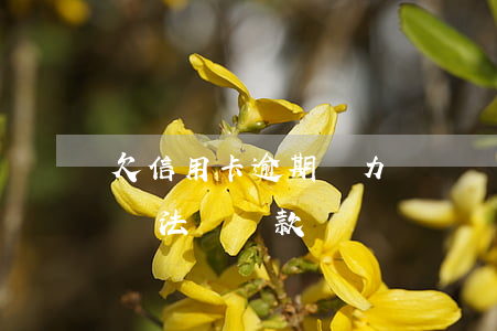 欠信用卡逾期無力償還該怎么辦（信用卡逾期無法償還款）