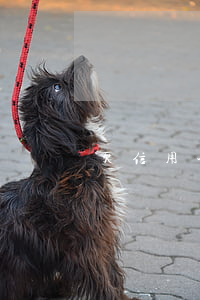 欠信用卡逾期的人多嗎（今年信用卡逾期人多嗎）