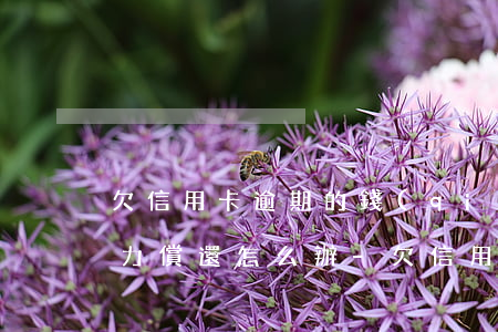 欠信用卡逾期的錢(qián)無(wú)力償還怎么辦-欠信用卡逾期的錢(qián)無(wú)力償還怎么辦呢