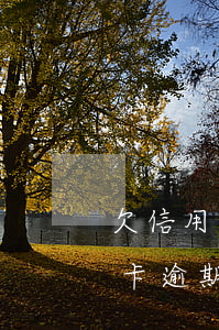 欠信用卡逾期經(jīng)歷(欠銀行信用卡逾期后果怎么樣)