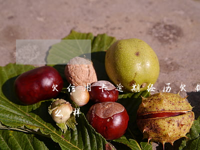欠信用卡逾期经历(欠银行信用卡逾期后果怎么样)