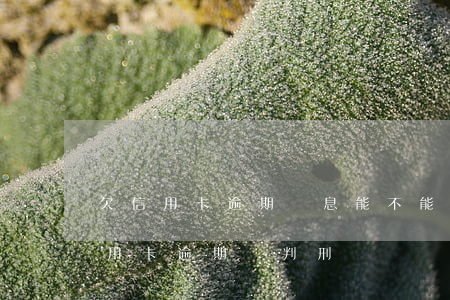 欠信用卡逾期罰息能不能跟銀行談(銀行的信用卡逾期會判刑嗎)