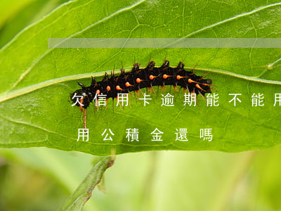欠信用卡逾期能不能用公積金(欠信用卡可以用公積金還嗎)