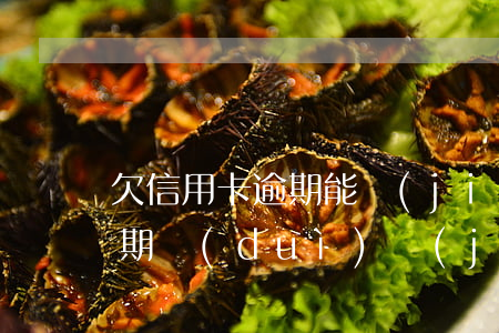 欠信用卡逾期能結(jié)婚嗎（信用卡逾期對(duì)結(jié)婚）