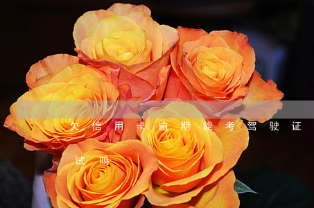 欠信用卡逾期能考驾驶证吗?（信用卡逾期能考试吗）
