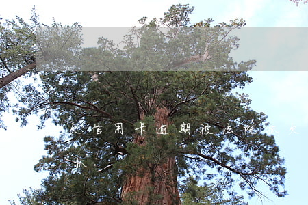 欠信用卡逾期被法院抓(欠信用卡逾期被法院抓)