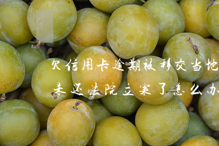 欠信用卡逾期被移交当地法院-欠信用卡款未还法院立案了怎么办