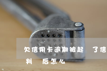 欠信用卡逾期被起訴了（信用卡逾期民事法院判決后怎么）