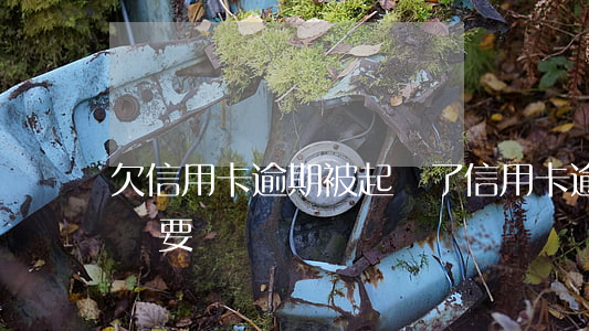 欠信用卡逾期被起訴了（信用卡逾期被起訴了還要還嗎）