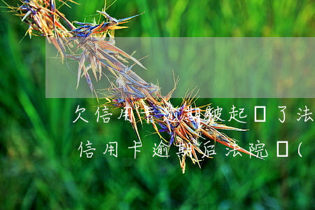 欠信用卡逾期被起訴了 法院寄傳票寄到哪里（信用卡逾期后法院發(fā)傳票了）