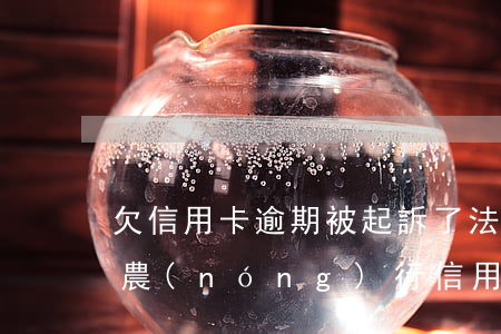 欠信用卡逾期被起訴了 法院寄傳票寄到哪里（農(nóng)行信用卡逾期法院傳票）