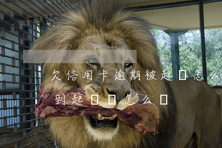 欠信用卡逾期被起訴怎么辦（信用卡逾期后收到起訴狀怎么辦）