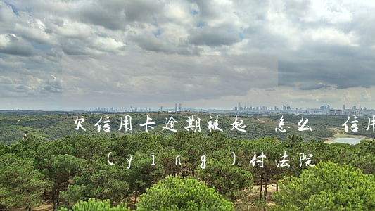 欠信用卡逾期被起訴怎么辦（信用卡逾期如何應(yīng)付法院）