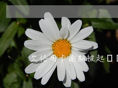 欠信用卡逾期被起訴會坐牢嘛嗎