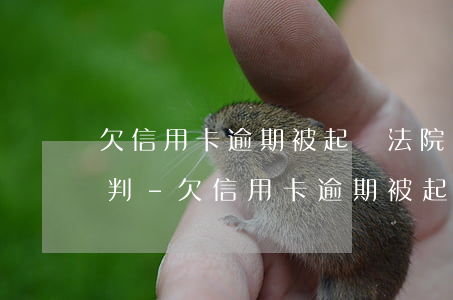 欠信用卡逾期被起訴法院會(huì)怎么判-欠信用卡逾期被起訴法院會(huì)怎么判決