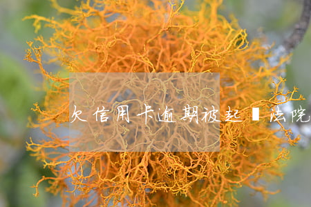 欠信用卡逾期被起訴（法院起球訴信用卡逾期）
