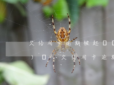 欠信用卡逾期被起訴該不該去應(yīng)訴-欠信用卡逾期被起訴該不該去應(yīng)訴法院