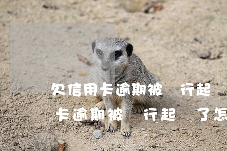 欠信用卡逾期被銀行起訴了怎么辦-欠信用卡逾期被銀行起訴了怎么辦呢