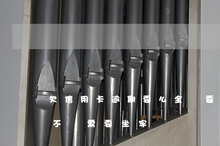 欠信用卡逾期要么全還要不不還-欠信用卡不還需要坐牢嗎