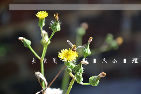 欠信用卡逾期該怎么處理(信用卡逾期欠款了)