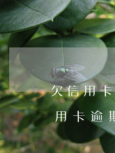 欠信用卡逾期說(shuō)是要去家里(信用卡逾期欠款了)