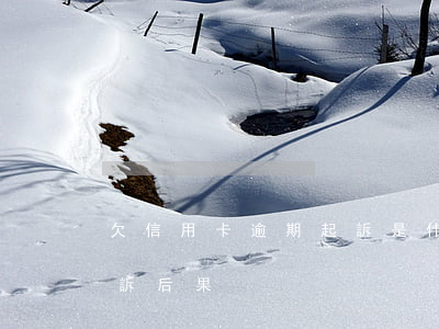 欠信用卡逾期起訴是什么結局(欠信用卡被起訴后果)