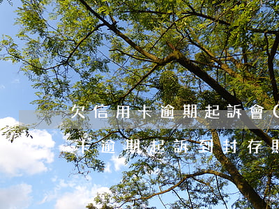 欠信用卡逾期起訴會(huì)拘留嗎（信用卡逾期起訴到封存財(cái)產(chǎn)要多久）