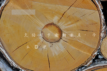 欠信用卡逾期逾月-今年的信用卡逾期有什么處理