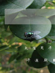 欠信用卡逾期還不上多少就可以起訴了（信用卡逾期還不起起訴）