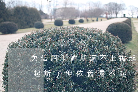 欠信用卡逾期還不上被起訴(欠信用卡被民事起訴了 但依舊還不起)