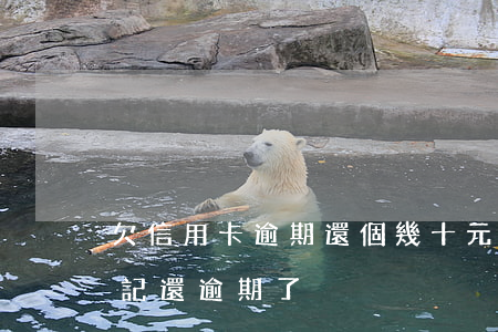 欠信用卡逾期還個幾十元(信用卡欠幾十塊忘記還逾期了)