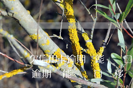欠信用卡逾期還能辦戶口遷移嗎-欠信用卡逾期還能辦戶口遷移嗎現(xiàn)在