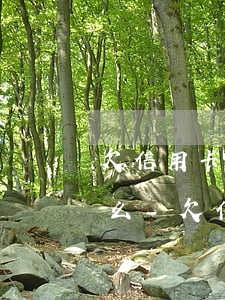 欠信用卡逾期銀行來(lái)往賬是逃避么-欠信用卡銀行會(huì)不會(huì)到家里來(lái)