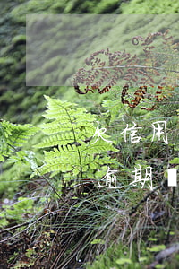 欠信用卡逾期銀行來往賬是逃避么(欠信用卡逾期會(huì)怎樣)
