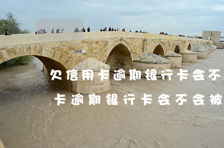 欠信用卡逾期银行卡会不会被冻结-欠信用卡逾期银行卡会不会被冻结