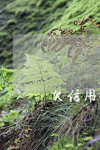 欠信用卡過(guò)世了（欠信用卡已去世）