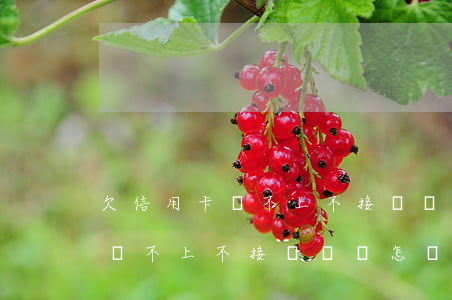 欠信用卡還不上不接電話會怎樣-欠信用卡還不上不接電話會怎樣呢