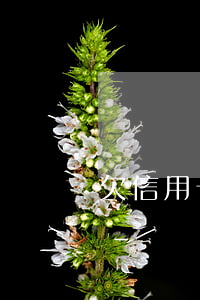 欠信用卡還不上可以辦儲(chǔ)蓄卡嗎-
