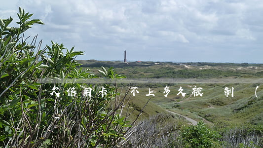 欠信用卡還不上多久被強制執(zhí)行-