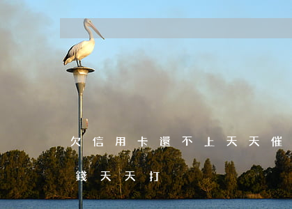 欠信用卡還不上天天催怎么辦（欠信用卡的的錢天天打）