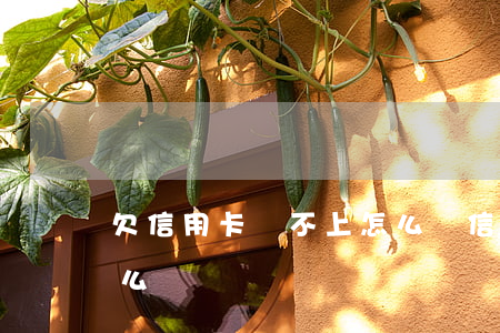 欠信用卡還不上怎么辦(信用卡逾期沒錢還怎么辦)