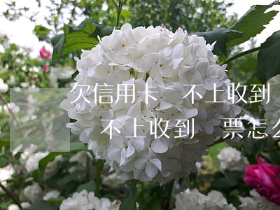 欠信用卡還不上收到傳票怎么辦-欠信用卡還不上收到傳票怎么辦呢