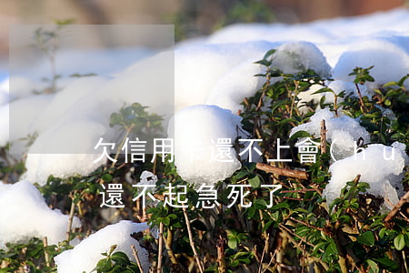 欠信用卡還不上會(huì)怎樣（欠信用卡還不起急死了）