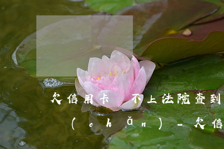 欠信用卡還不上法院查到名下財(cái)產(chǎn)-欠信用卡還不上法院查到名下財(cái)產(chǎn)怎么辦