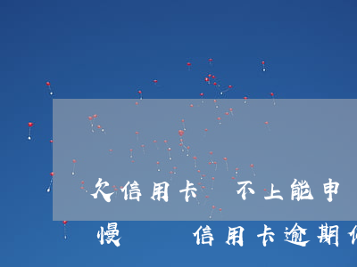 欠信用卡還不上能申請(qǐng)停息慢慢還嗎（信用卡逾期停用后還不起該怎么辦）