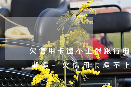 欠信用卡還不上跟銀行申請(qǐng)分期還-欠信用卡還不上跟銀行申請(qǐng)分期還款有關(guān)嗎