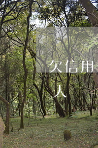 欠信用卡還不上錢的人 欠信用卡還不上錢的人